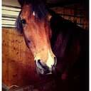 Beccanorthstar